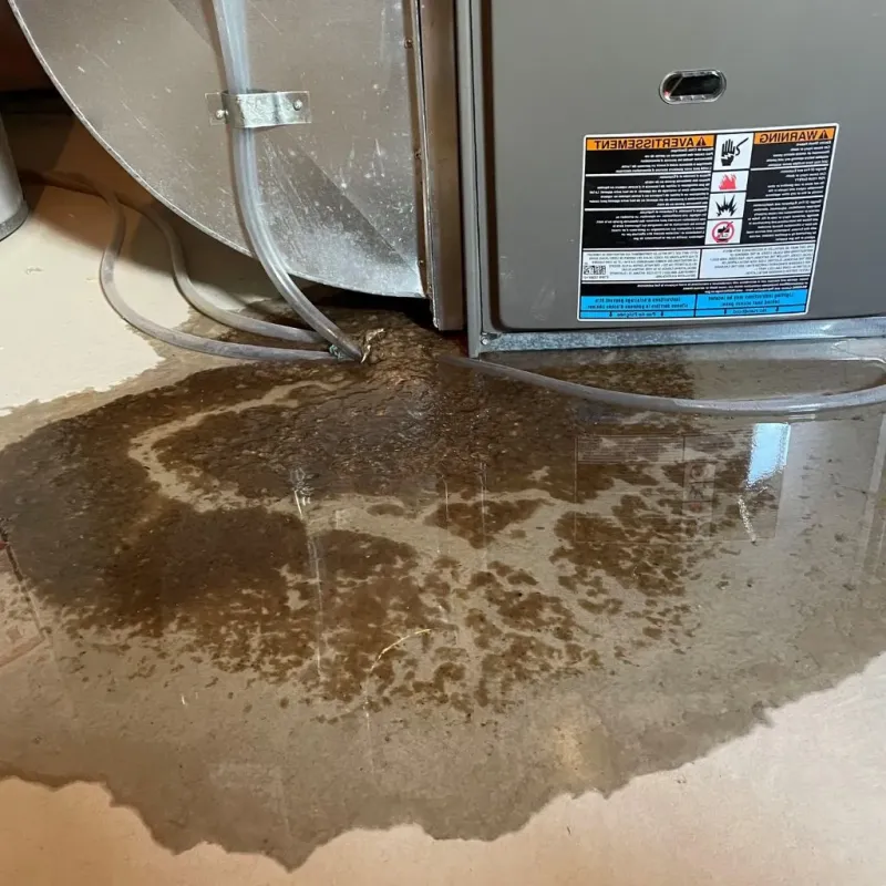 Pipe Burst and Leak Restoration in Fairfield, OH