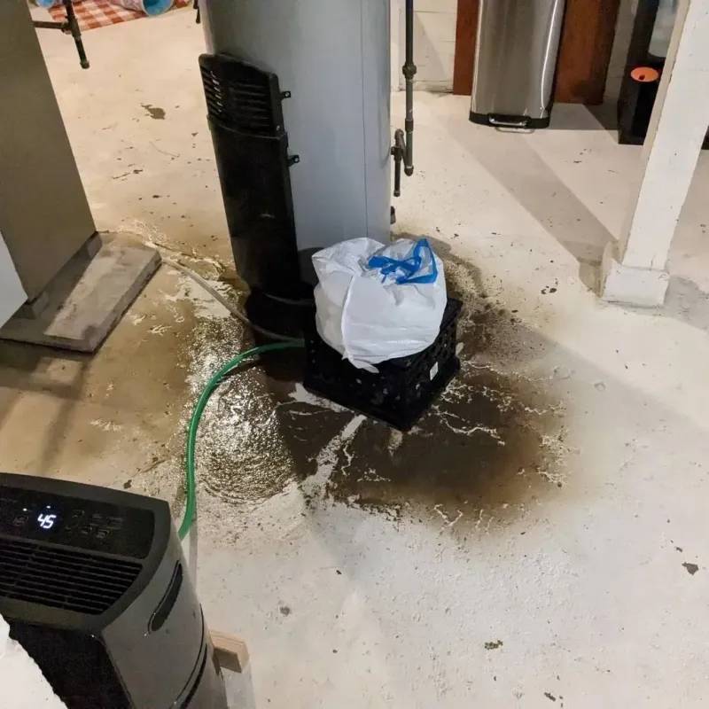 Sewage Backup Cleanup Service in Fairfield, OH